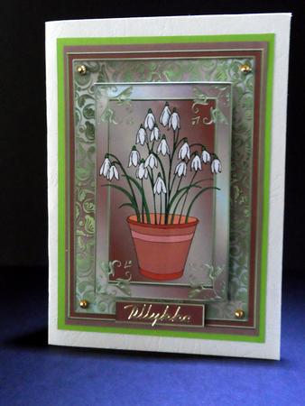 A Pot of Snowdrops by Ulla Skraedderdal