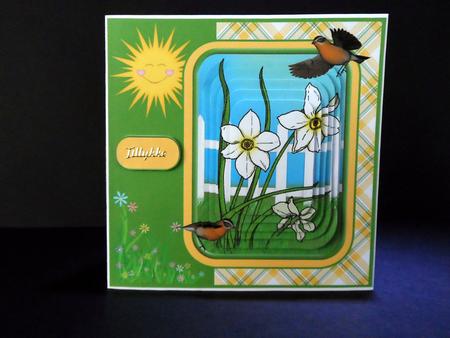 Narcissi in Spring Sunshine by Ulla Skraedderdal
