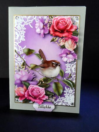 Beautiful Belle Roses Wren on Lace by Ulla Skraedderdal