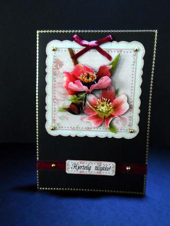 Christmas Rose by Ulla Skraedderdal