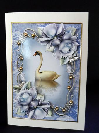 Soft Blue Roses Swan Reflection by Ulla Skraedderdal