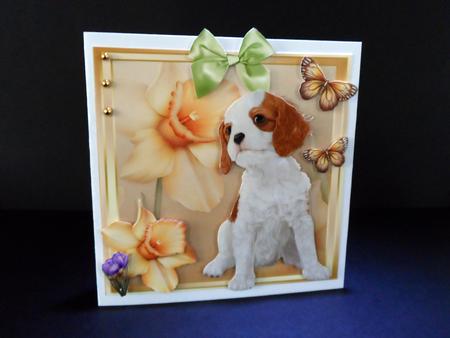 Gorgeous Cavalier with Daffodils 8x8 Mini Kit by Ulla Skraedderdal
