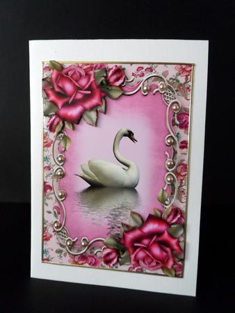 Purple Roses Swan Reflection by Ulla Skraedderdal