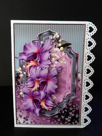 Classic Orchids by Ulla Skraedderdal