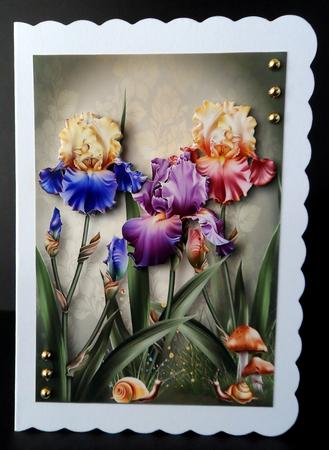 Iris Dreams Trio by Ulla Skraedderdal