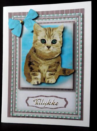 Lovely Cute and Cuddly Kitten  by Ulla Skraedderdal