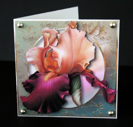 Beautiful Bearded Iris with Decoupage by Ulla Skraedderdal