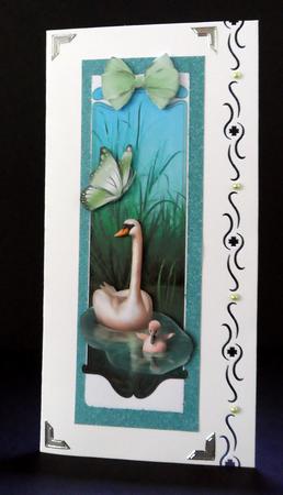 Baby Cygnet with Mum Tall Dl by Ulla Skraedderdal