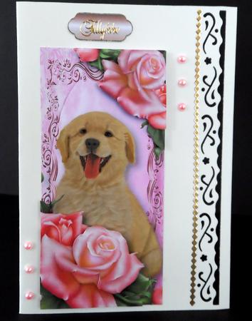 Cute Puppy & Pink Roses - Dl + Plaque + Decoupage by Ulla Skraedderdal