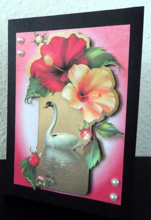 Hibiscus Flowers Swan Reflection by Ulla Skraedderdal