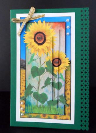 Sun Flowers by Ulla Skraedderdal