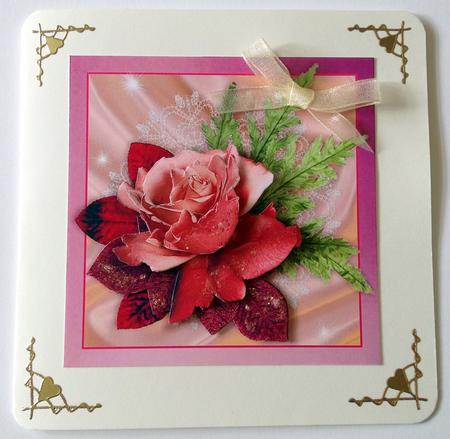 A Gorgeous Rose for a Gorgeous Person by Ulla Skraedderdal
