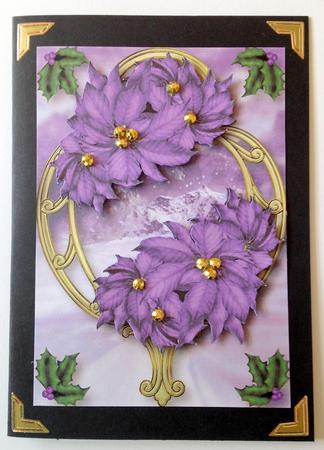Purple Poinsettias on Golden Frame by Ulla Skraedderdal