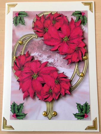 Hot Pink Poinsettias on Golden Frame by Ulla Skraedderdal