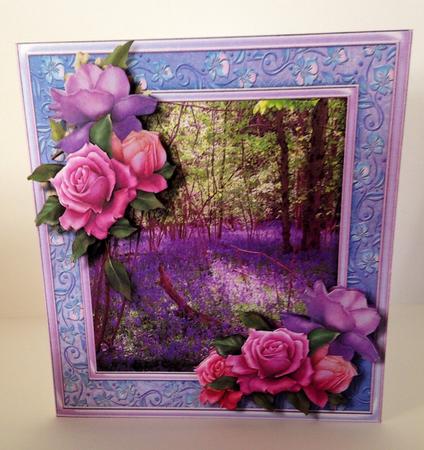 Lovely Bluebell Woods and Belleep Roses by Ulla Skraedderdal