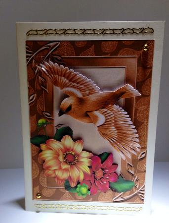Beautiful Orange & Red Roses with Bird by Ulla Skraedderdal