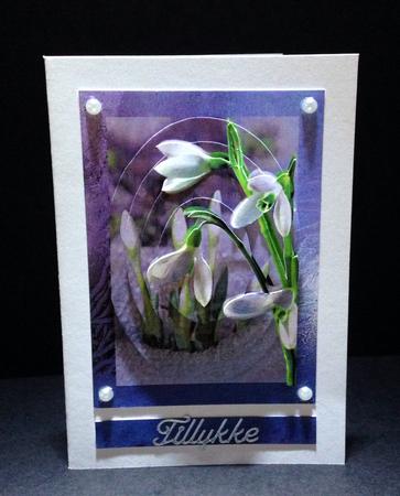 Early Snowdrops by Ulla Skraedderdal
