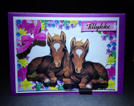 Pair of Cute Foals Laying Down in Floral Frame by Ulla Skraedderdal