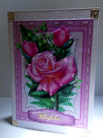 Pale Pink Roses on a Kadaire Frame  by Ulla Skraedderdal