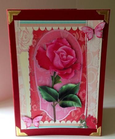 Beautiful Pink Rose by Ulla Skraedderdal
