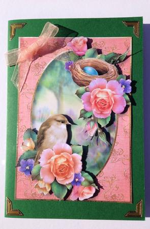 Bird, Nest & Spring Roses by Ulla Skraedderdal