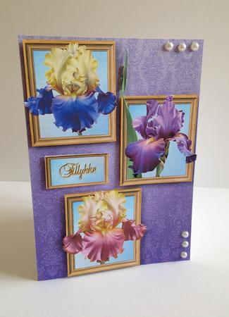 Iris Dreams Frame Trio by Ulla Skraedderdal