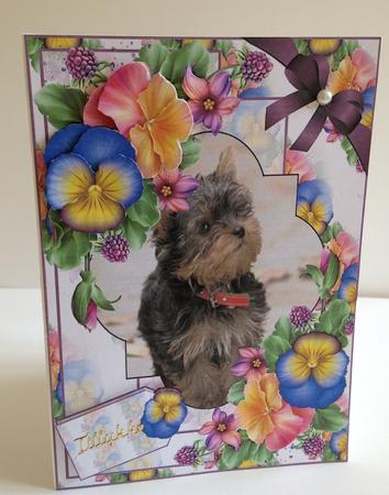 The Little Terrier by Ulla Skraedderdal
