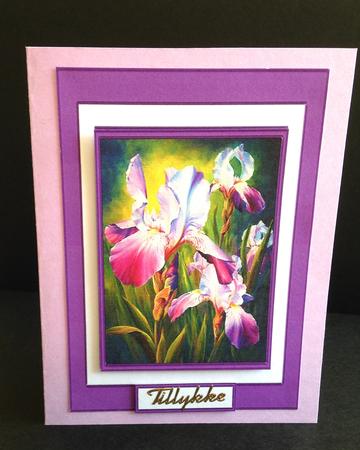 Gorgeous Watercolour Iris by Ulla Skraedderdal
