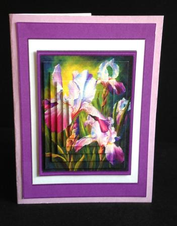 Gorgeous Watercolour Iris Mini Kit by Ulla Skraedderdal