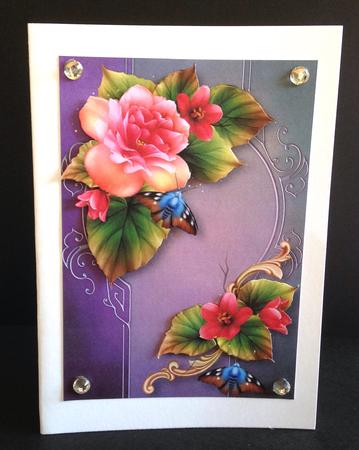 Beautiful Begonia & Butterflies by Ulla Skraedderdal