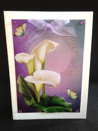 Pure White Calla Lilies A5 by Ulla Skraedderdal