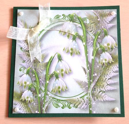 The Snowdrops by Ulla Skraedderdal
