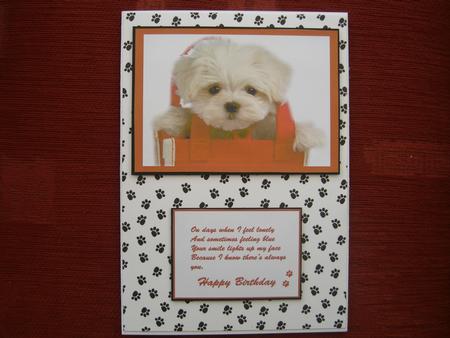 Puppy in a Red Bag Birthday by Valerie Baker