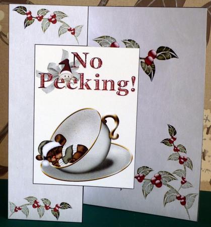 No Peeking Little Mouse Fold Back by VALERIE BOYLE