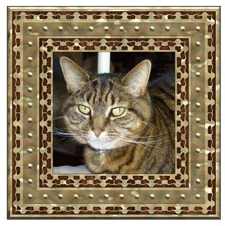 4 x Gold Frames by VALERIE BOYLE