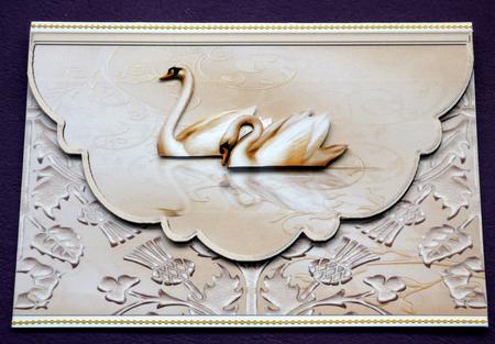 Swans in Love by VALERIE BOYLE