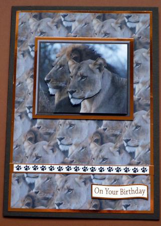 Lion & Lioness Portrait 3D Decoupage with Background by VALERIE BOYLE