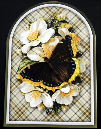 Butterfly Rounded Quick Card by VALERIE BOYLE