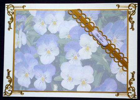 Pansy Insert by VALERIE BOYLE