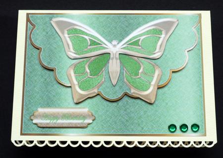 Metalic Pepermint Butterfly Envelope Card by VALERIE BOYLE