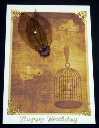 Birdcage Gold A4 Backing Paper by VALERIE BOYLE