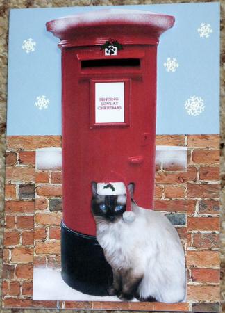 Fluffy Cat Christmas Post Box by VALERIE BOYLE