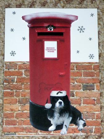 Cavalier King Charles Spaniel Christmas Post Box by VALERIE BOYLE