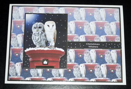 Christmas Owl Pair,background by VALERIE BOYLE