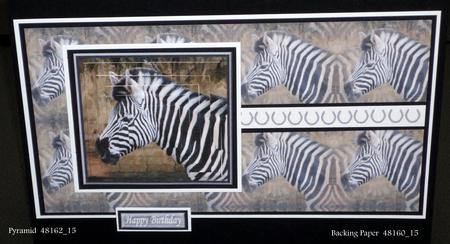 Zebra Portrait Background by VALERIE BOYLE