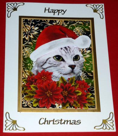 Santa Tabby Kitty Cat and Poinsettia Flowers 3 by VALERIE BOYLE