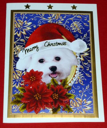 Santa White Puppy Dog Bichon Frise and Poinsettia Flowers 2 by VALERIE BOYLE