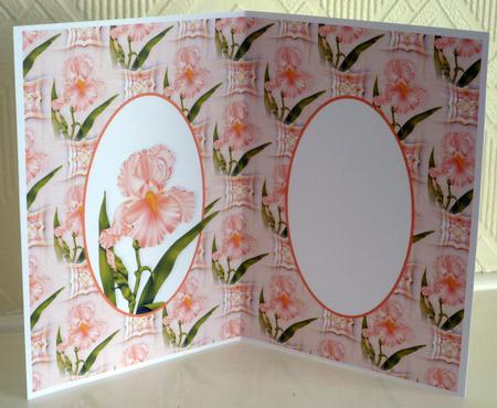 Orange Iris Insert by VALERIE BOYLE