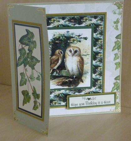 Birthday Hoot by VALERIE BOYLE