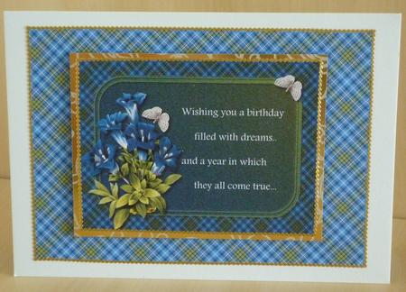 Gentian & Butterfly Plaid by VALERIE BOYLE